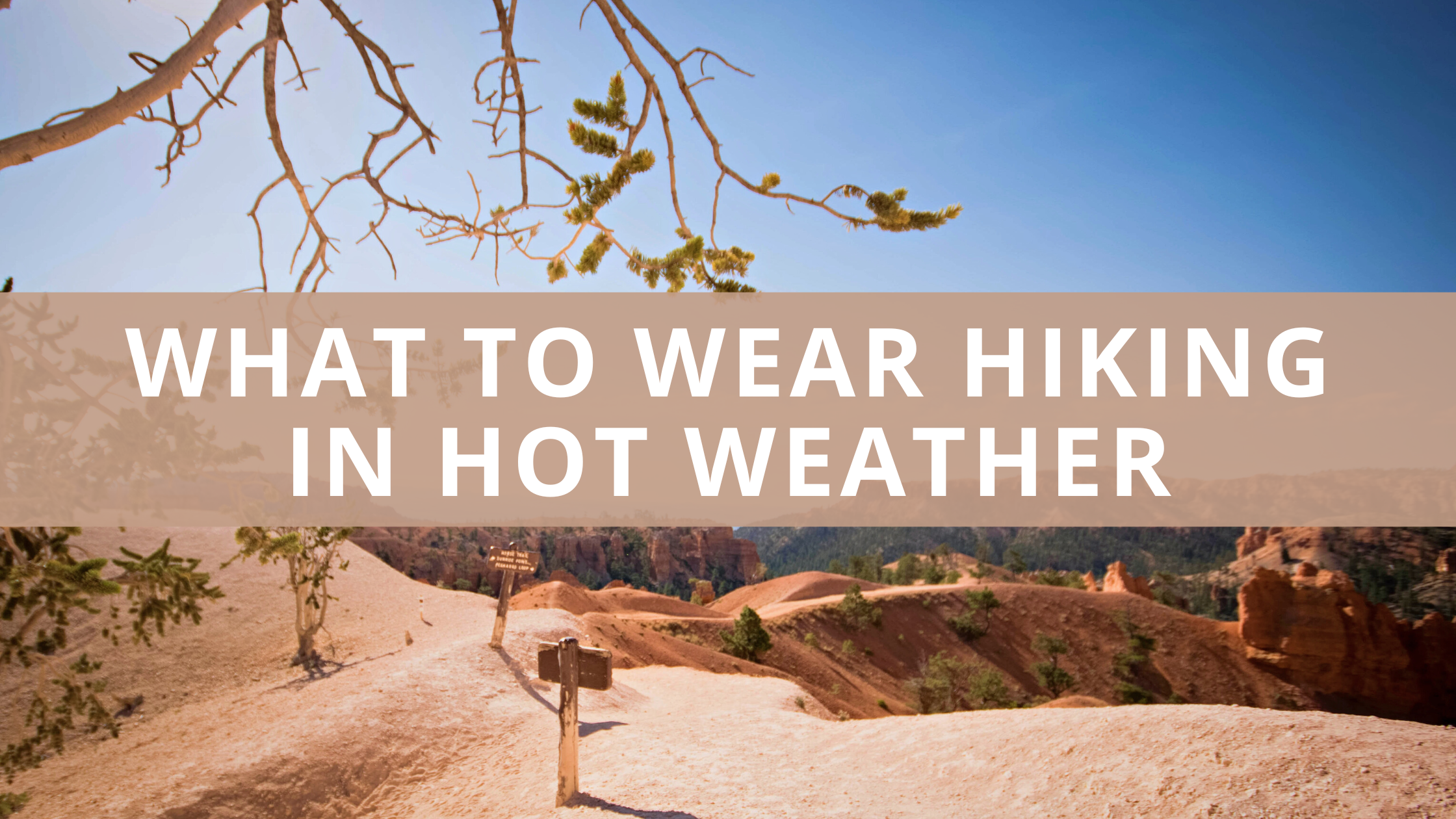 What to Wear Hiking in Hot Weather – 5 Best Tips